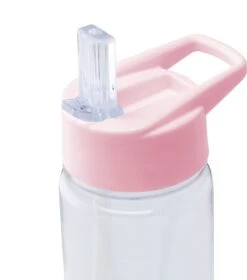 Waterfles Met Rietje En Fruit Filter | Roze | Kerstcadeau -Waterfles Voor Buiten 1057x1200 1