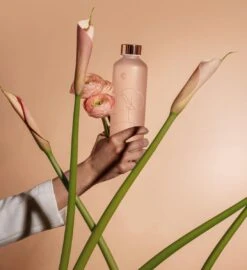 Equa - Waterfles - Glas - 750 ML - Roze 11 Equa - Waterfles - Glas - 750 ML - Roze -Waterfles Voor Buiten 1096x1200 4