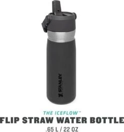 Stanley The IceFlow™ Flip Straw Water Bottle 0,65L - Thermosfles - Saffron 29 Stanley The IceFlow™ Flip Straw Water Bottle 0,65L - Thermosfles - Saffron -Waterfles Voor Buiten 1128x1200 1