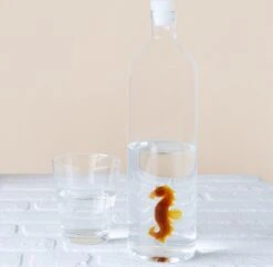 Waterfles Voor Buiten -Waterfles Voor Buiten 1200x1178 2