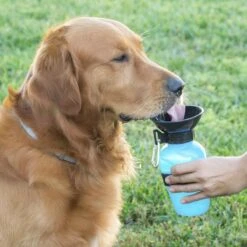 Waterdrinkfles Voor Honden InnovaGoods -Waterfles Voor Buiten 1200x1200 731