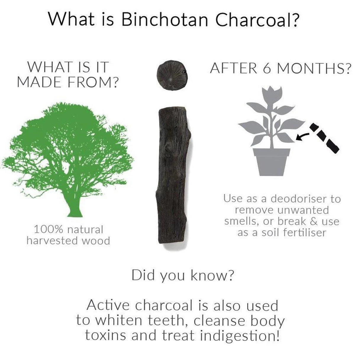 Black + Blum Binchotan Active Charcoal For Eau Good Water Bottles 4-pack 7 Black + Blum Binchotan Active Charcoal For Eau Good Water Bottles 4-pack - Afbeelding 5