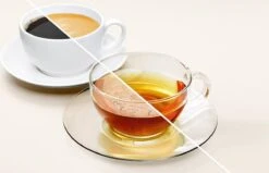 BRITA - Waterfilterpatroon MAXTRA+ 4Pack -Waterfles Voor Buiten 1200x773 1