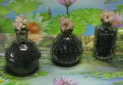 1000g Shungiet Shungite Stenen Voor Water En Ontstoring -Waterfles Voor Buiten 1200x832