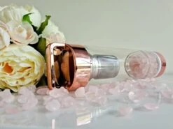 Duurzame Waterfles Met Kristal - Roségoud - Roestvrij Staal - Rozenkwarts Edelstenen - Verrijkt En Verzacht Water - Inclusief Thee/fruit Infuser - Edelstenen - 550 Ml - Waterfles - Drinkfles 21 Duurzame Waterfles Met Kristal - Roségoud - Roestvrij Staal - Rozenkwarts Edelstenen - Verrijkt En Verzacht Water - Inclusief Thee/fruit Infuser - Edelstenen - 550 Ml - Waterfles - Drinkfles -Waterfles Voor Buiten 1200x900 2