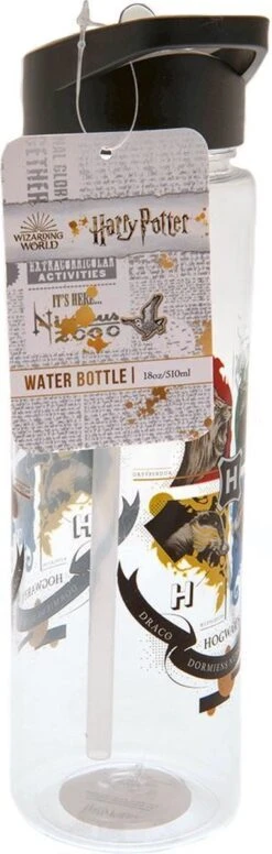 Pyramid International Harry Potter - Zweinstein Crest Plastic Waterfles -Waterfles Voor Buiten 382x1200 5