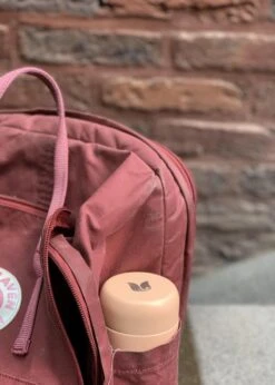 Retulp - Tumbler Thermosbeker – Champagne Pink – 300 Ml - Thermosfles - Roze -Waterfles Voor Buiten 856x1200 12