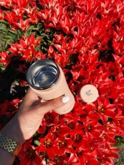 Retulp - Tumbler Thermosbeker – Champagne Pink – 300 Ml - Thermosfles - Roze -Waterfles Voor Buiten 899x1200 22